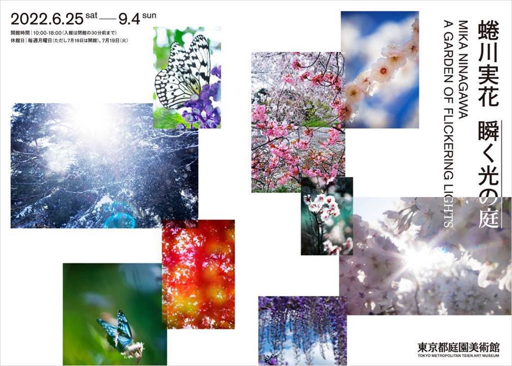 蜷川実花「瞬く光の庭」展が東京都庭園美術館にて開催。