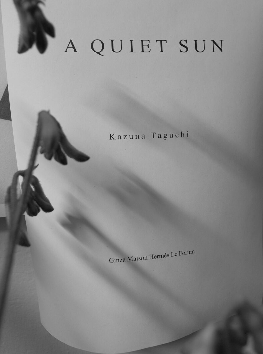 「A Quiet Sun」田口和奈展（東京）